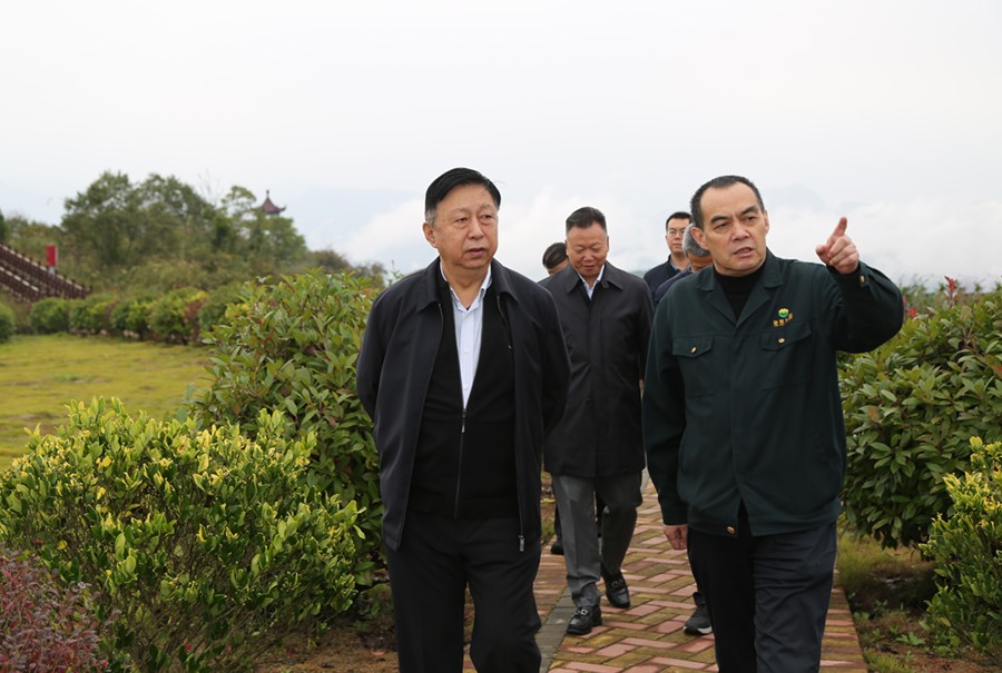 19-2021年10月，原國(guó)土資源部副部長(zhǎng)汪民蒞臨公司調(diào)研。.jpg