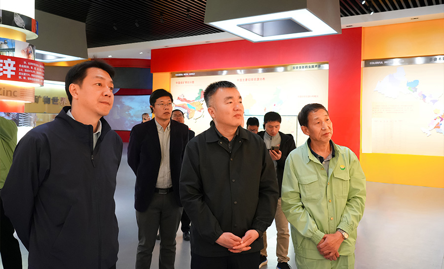 10.4-2024年04月，自然資源部礦保司副司長(zhǎng)王博蒞臨公司調(diào)研。.jpg