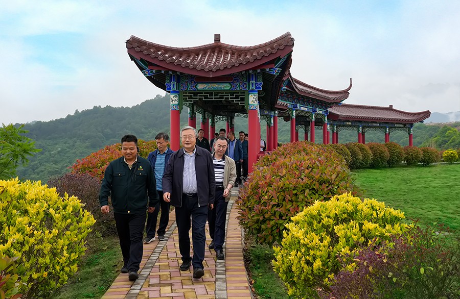 49-2022年5月，省工信廳副廳長(zhǎng)王海峰一行蒞臨金徽股份調(diào)研綠色礦山建設(shè)工作。.jpg
