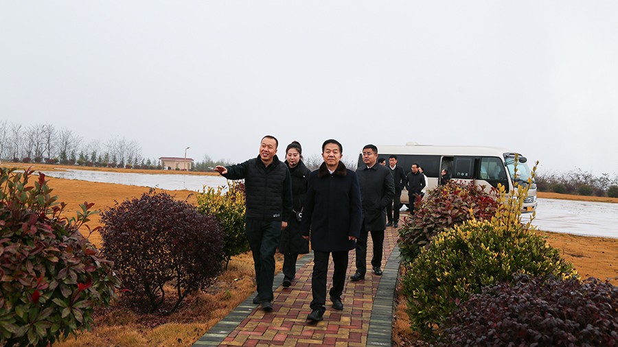 45-2020年12月，省高級(jí)人民法院黨組成員、副院長(zhǎng)任建國(guó)蒞臨金徽股份調(diào)研知識(shí)產(chǎn)權(quán)司法保護(hù)工作。.jpg